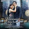 About DEEWANE THEY HUM JINKE Song